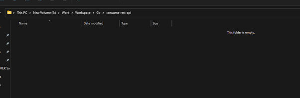 Consuming REST APIs in Golang